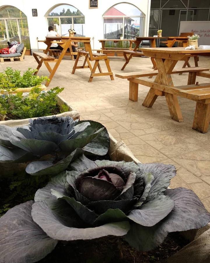 Tani Jiwo Hostel Diyeng Dış mekan fotoğraf