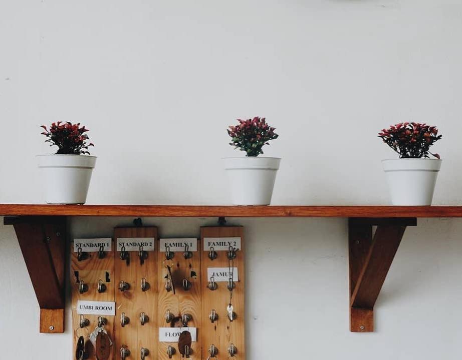 Tani Jiwo Hostel Diyeng Dış mekan fotoğraf
